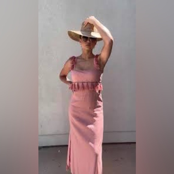 Antonio Melani 12, 14Pink Nat Note Cici Tassel Linen Maxi Dress Sleeveless NWT - Picture 4 of 16